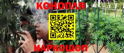 сатива Севастополь