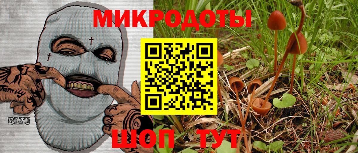 Псилоцибиновые грибы Cubensis Петропавловск-Камчатский