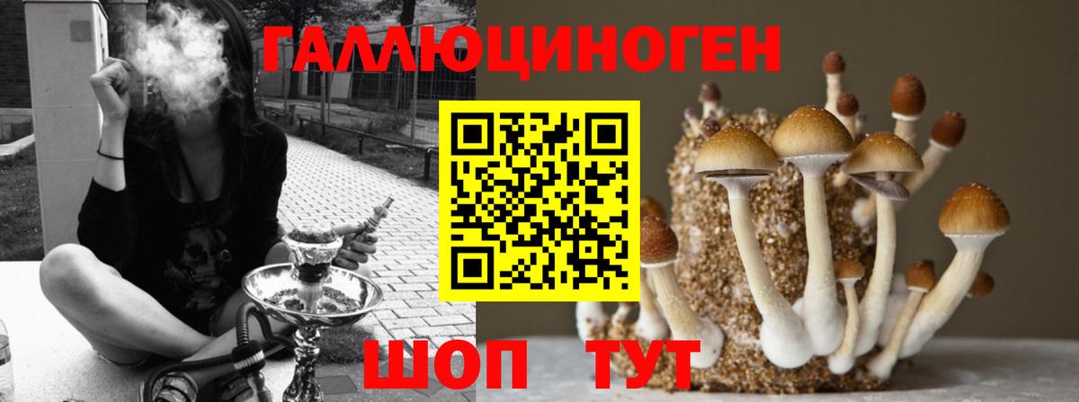 Галлюциногенные грибы GOLDEN TEACHER  Вход с VPN  Петропавловск-Камчатский  Галлюциногенные грибы прущие грибы 